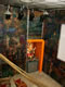 Tropenmuseum Junior, verlichting Ster in de stad  foto1